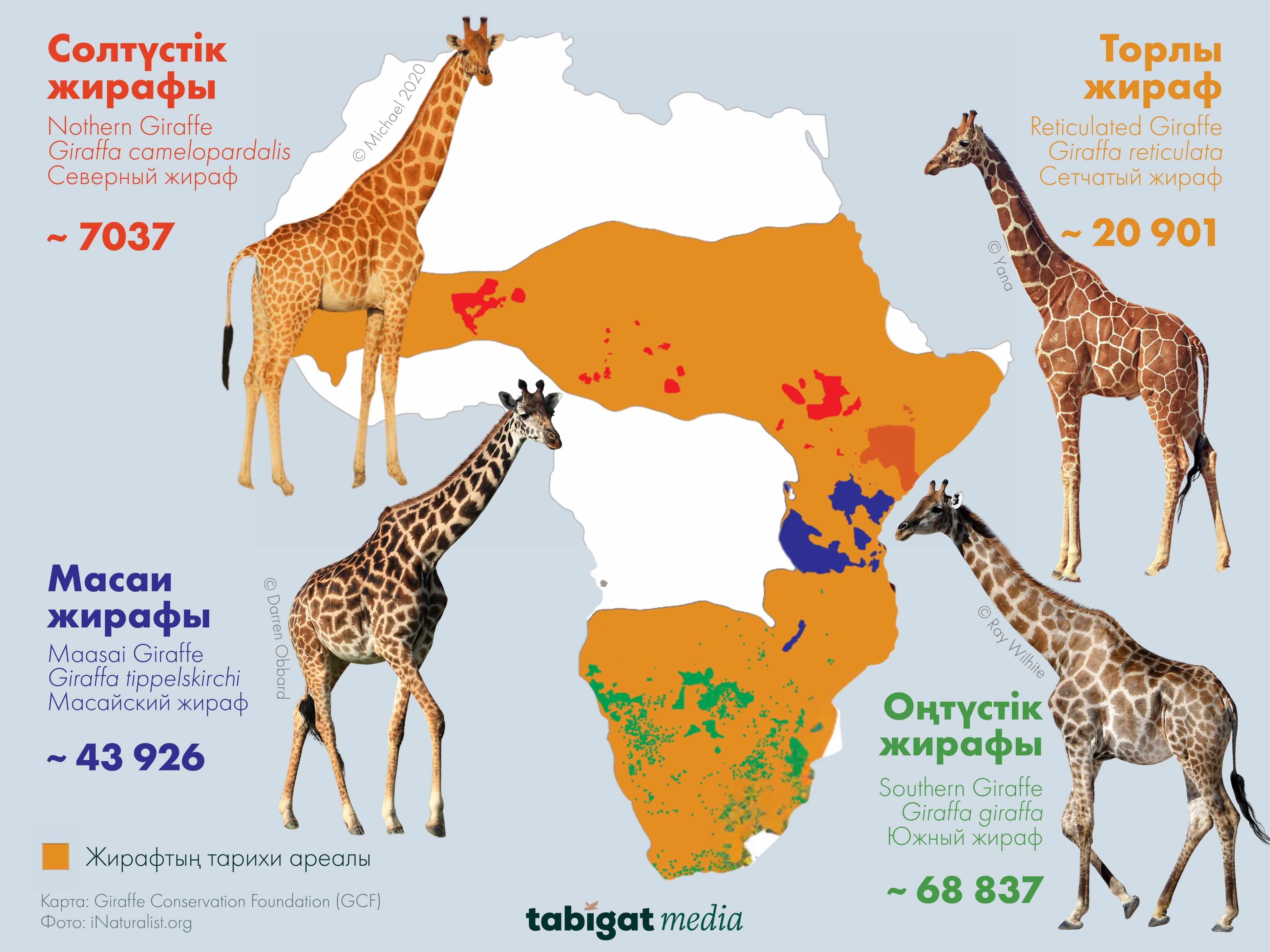 Интернетте эротикалық бейнелерді қараңыз
